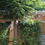 Natalie 2 Plaka ευρύχωρο και δροσερό 드레파논
