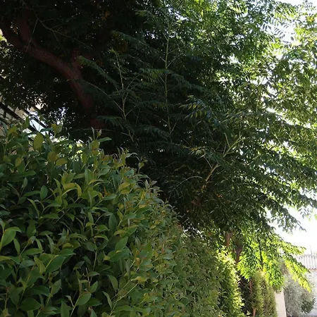 Apartment Natalie 2 Plaka ευρύχωρο και δροσερό Drepano (Argolis)