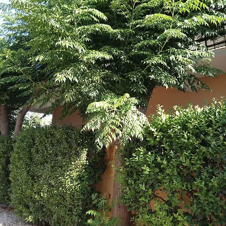 Apartment Natalie 2 Plaka ευρύχωρο και δροσερό *