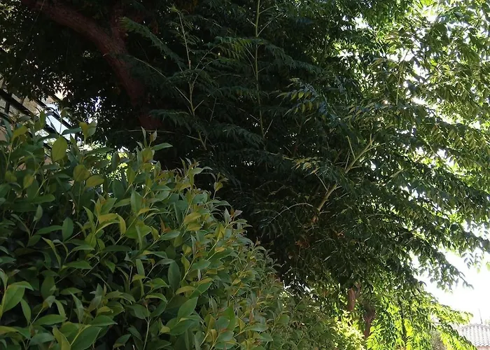 Apartamento Natalie Rooms 2 Plaka Drepano Ευρύχωρο Και Δροσερό Drepano (Argolis)