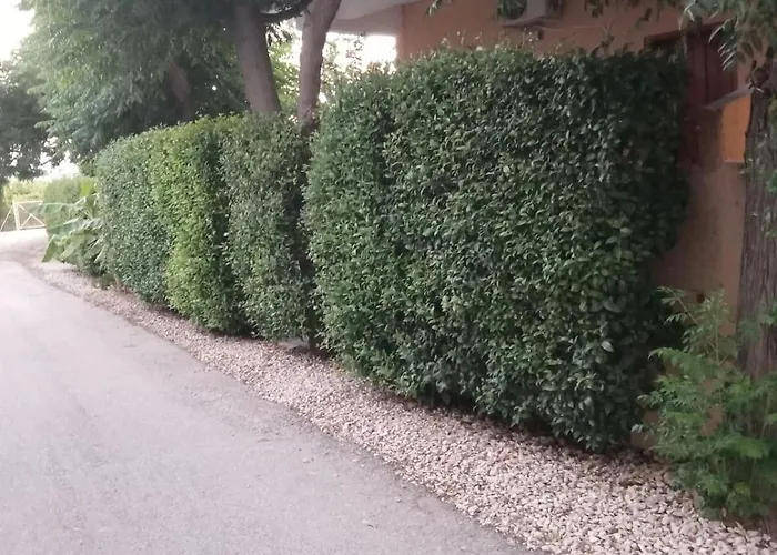 Natalie Rooms 2 Plaka Drepano Ευρύχωρο Και Δροσερό