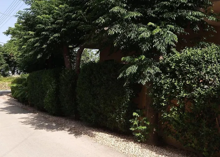 Apartment Natalie 2 Plaka ευρύχωρο και δροσερό