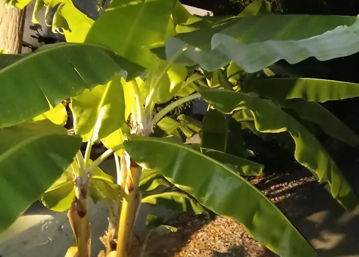 Natalie Rooms 2 Plaka Drepano Ευρύχωρο Και Δροσερό *